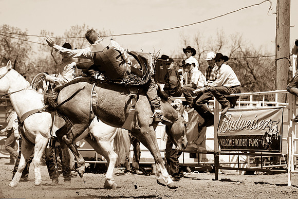 miles_city-2020-247