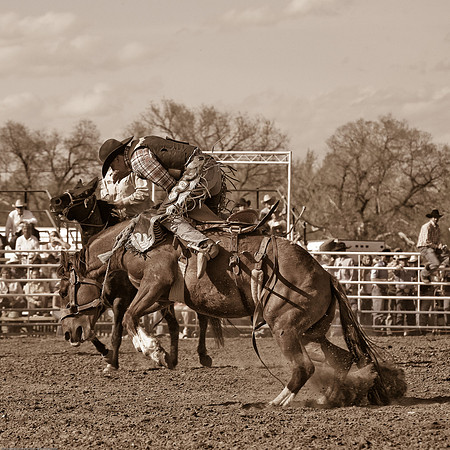 miles_city-1203-544