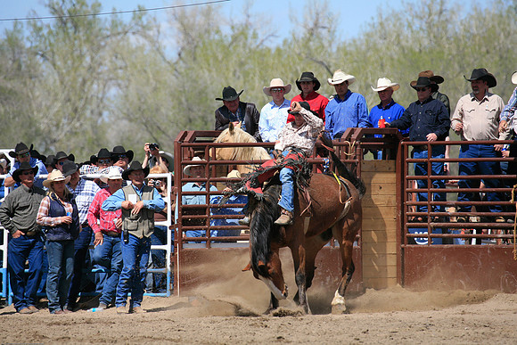 miles_city-2225-287