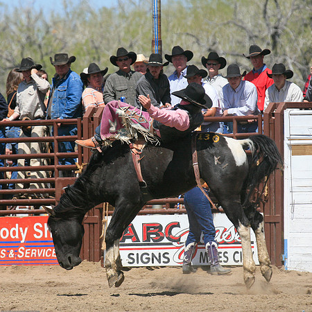 miles_city-2122-313
