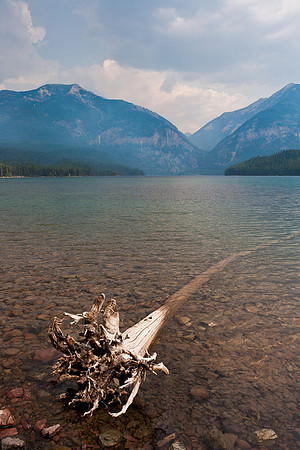 Still Rooted, Holland Lake 1