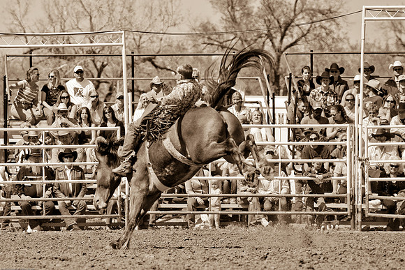 miles_city-2236-297