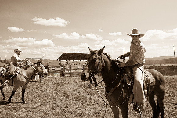 calf_branding_806