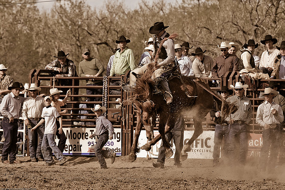 miles_city-1289-575