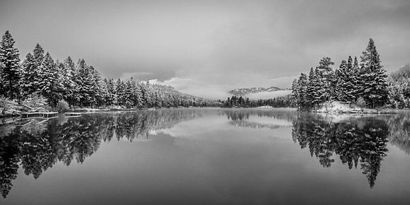 BSL B&W-2805