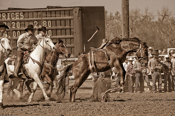 miles_city-2498-475