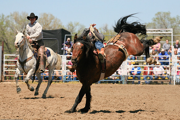 Miles City-997-32