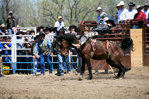 Miles City-986-22