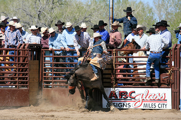 miles_city-2420-374