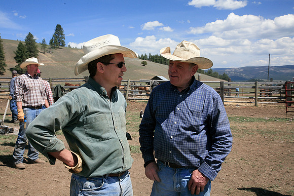 calf_branding_811