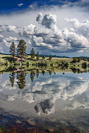 Rope Swing, Blanchard Lake