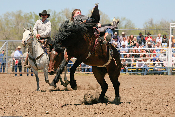 miles_city-998-33