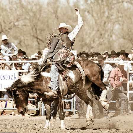 miles_city-2206-276