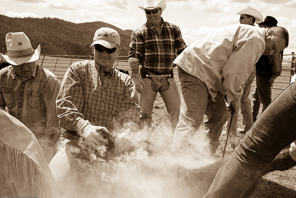 branding_09-298-12