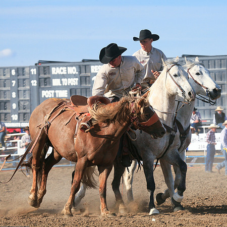 miles_city-1562-612