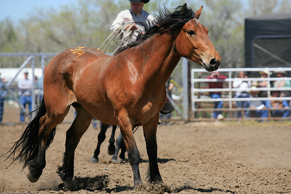 miles_city-1020-54