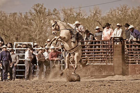 miles_city-1139-515