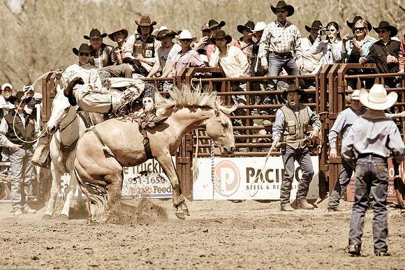 miles_city-2036-255