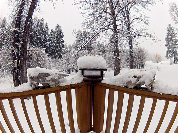Caretaker's View-1