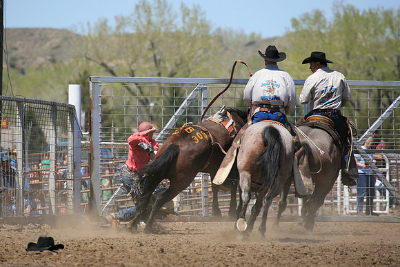 Miles City-971-11