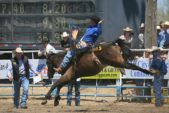 Miles City-976-15