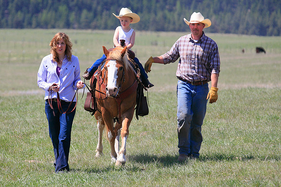 calf_branding_695