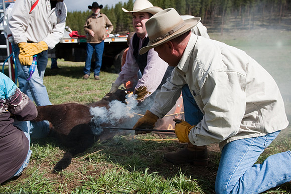 branding_09-182