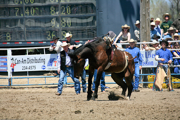 Miles City-988-24