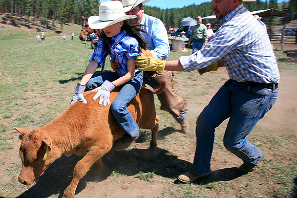 calf_branding_600
