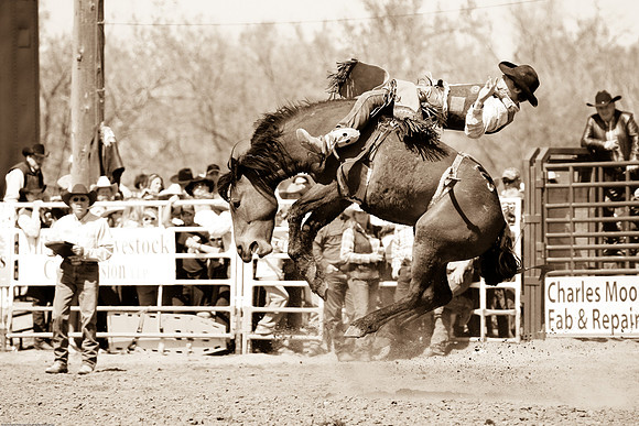 miles_city-2315-325