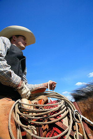 calf_branding_808