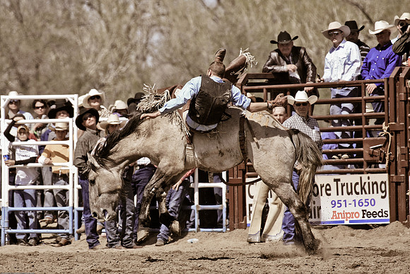 miles_city-2366-344