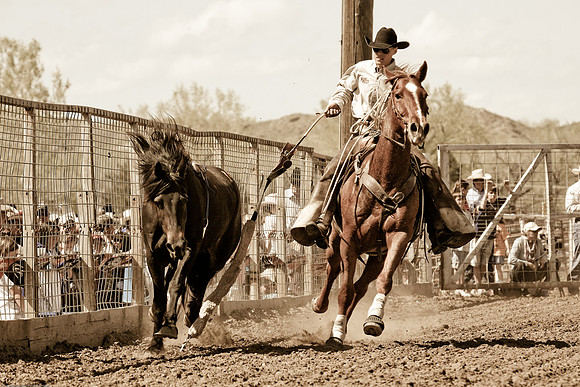 miles_city-2332-330
