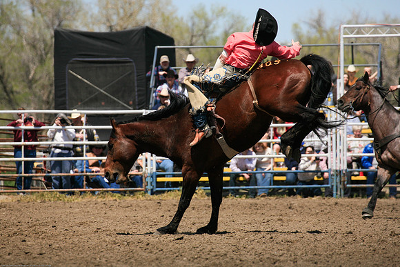 Miles City-968-8