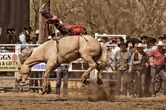 miles_city-2252-307