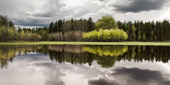 Calm