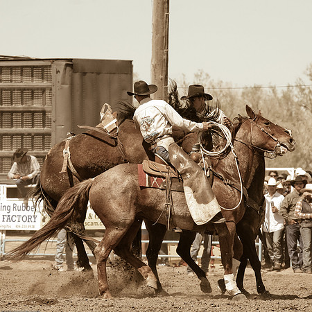 miles_city-2321-329