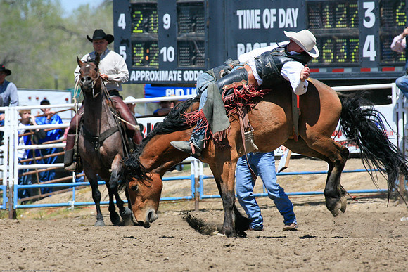 miles_city-1005-40