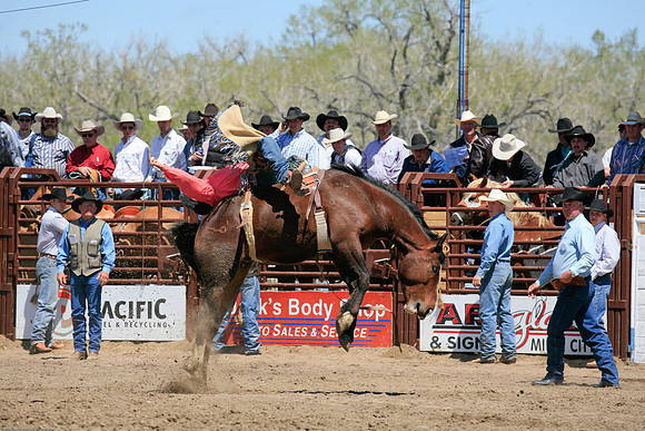 miles_city-1067-80