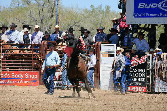 miles_city-1069-82