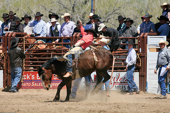 miles_city-1071-84