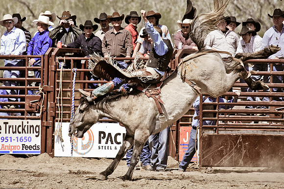 miles_city-2364-343