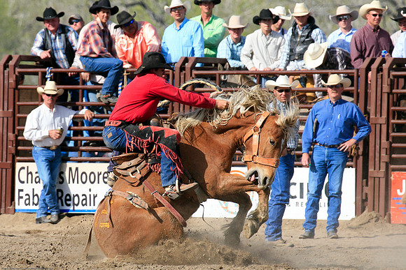miles_city-1235-555
