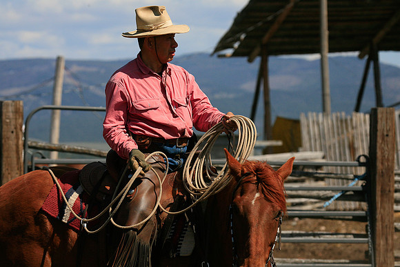 calf_branding_928