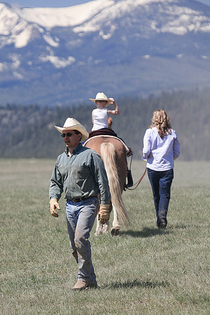 calf_branding_677