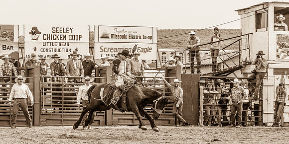2013 Helmville-2261
