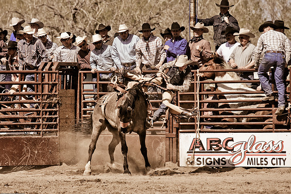 miles_city-2421-375