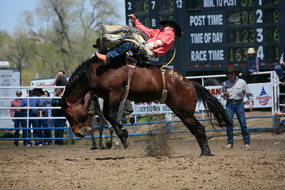 Miles City-965-5