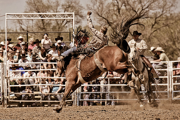 miles_city-2233-295