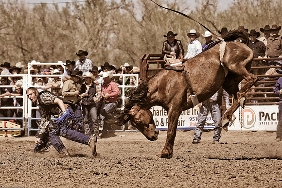 miles_city-2286-323